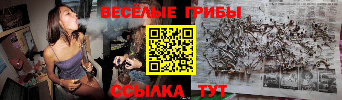 Галлюциногенные грибы ЛСД  Вход с VPN  где продают наркотики  Галлюциногенные грибы GOLDEN TEACHER  Шадринск 